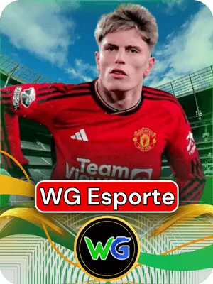 WG E-sporte